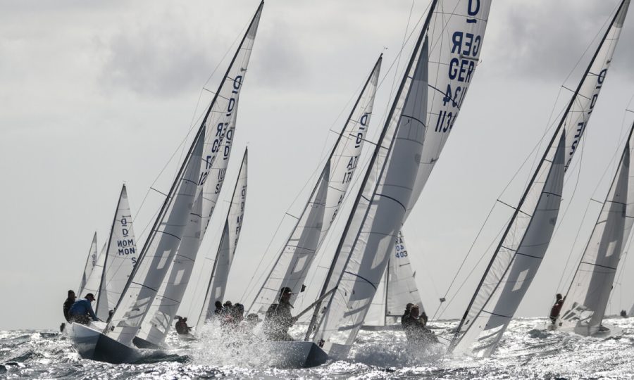 INTERNATIONAL ITALIAN DRAGON CUP - PAUL & SHARK TROPHY